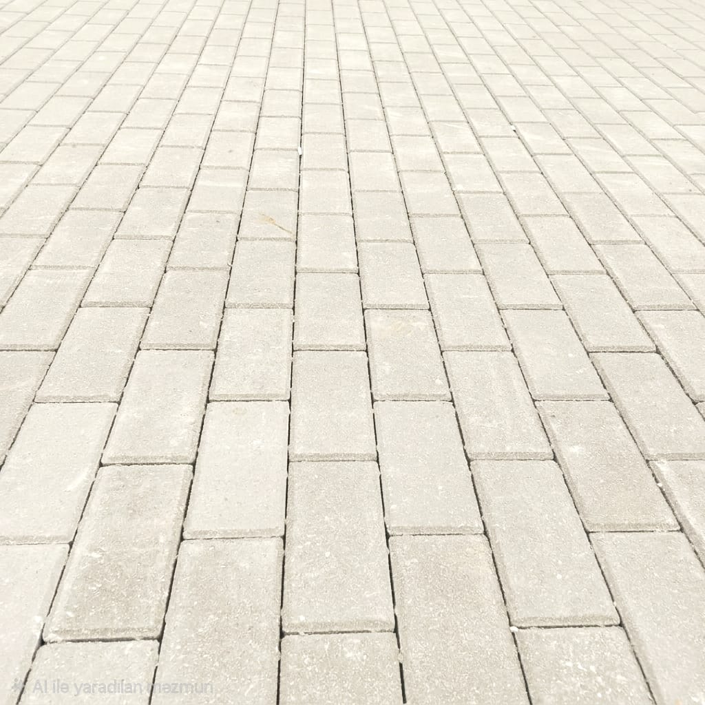 Salyan “ASAN xidmət”